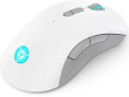 Lenovo Legion M600 Wireless Gaming Mouse (Stingray)