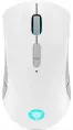 Lenovo Legion M600 Wireless Gaming Mouse (Stingray)